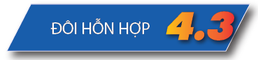 Đôi Hỗn Hợp 4.3